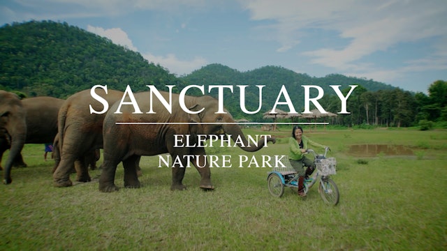 Sanctuary - Elephant Nature Park