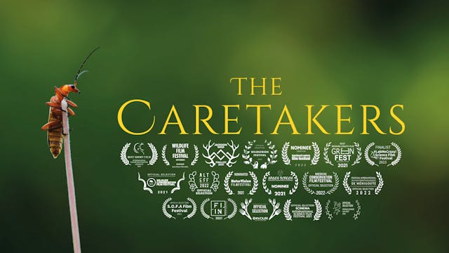 The Caretakers Ecoflix