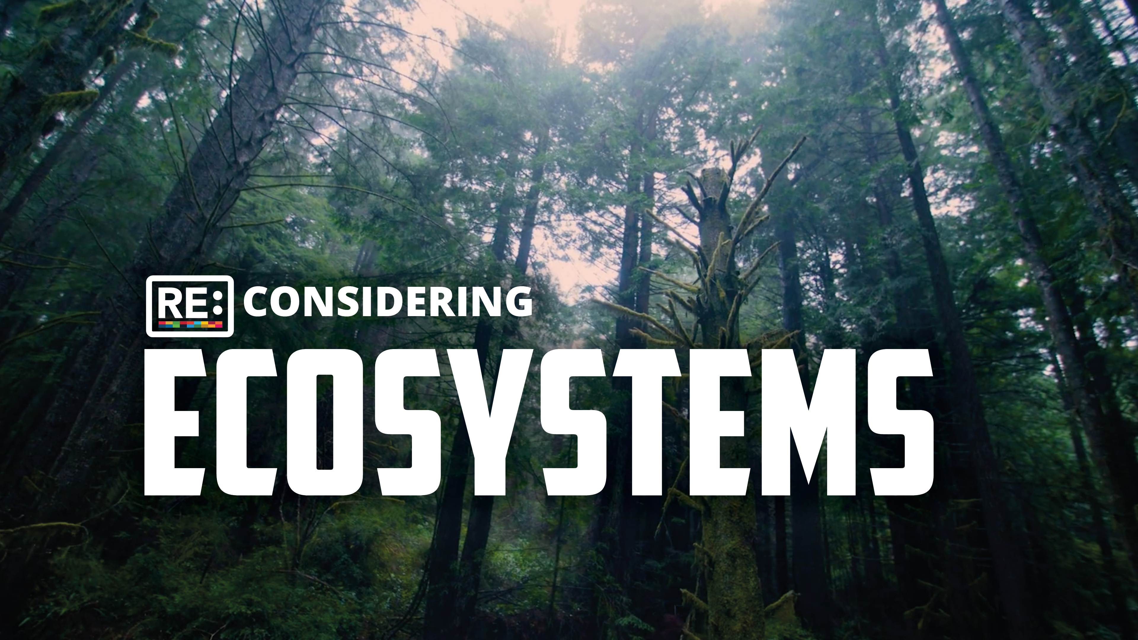 Reconsidering Ecosystems