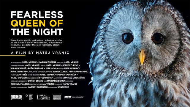 Fearless Queen Of The Night WCFF 2025