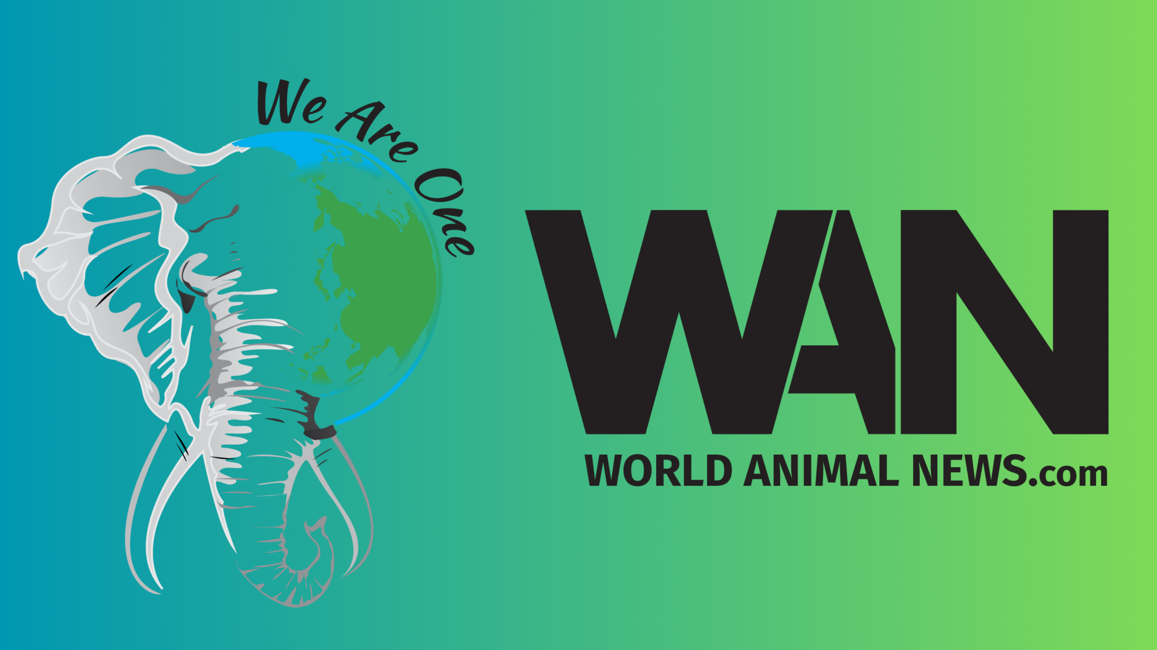 World Animal News