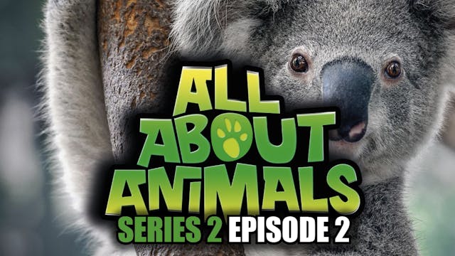 All About Animals - Series 2 - Episode 2