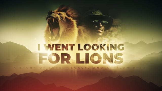 I Went Looking For Lions Teaser