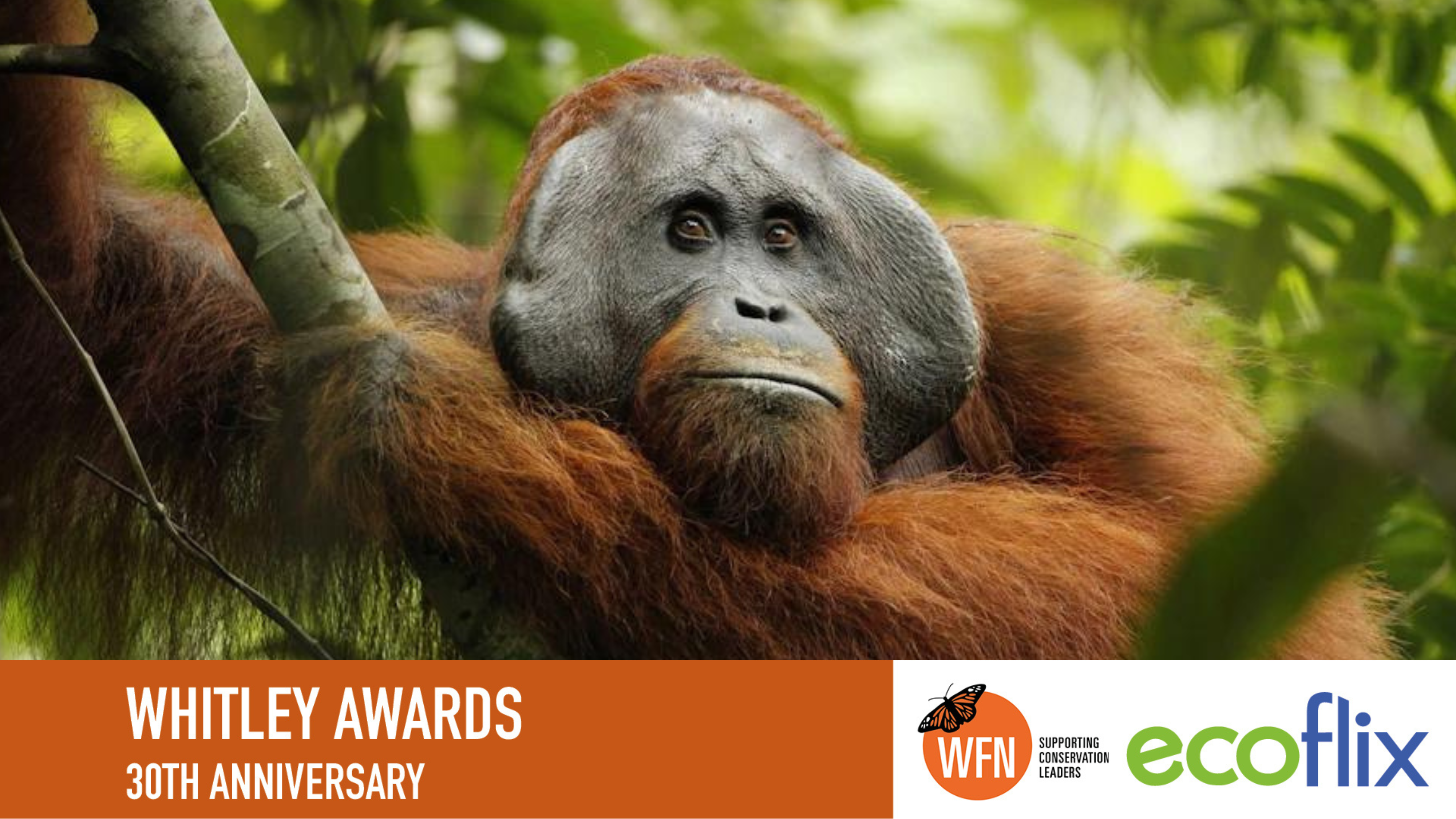 Celebrate the Whitley Awards 30th Anniversary 