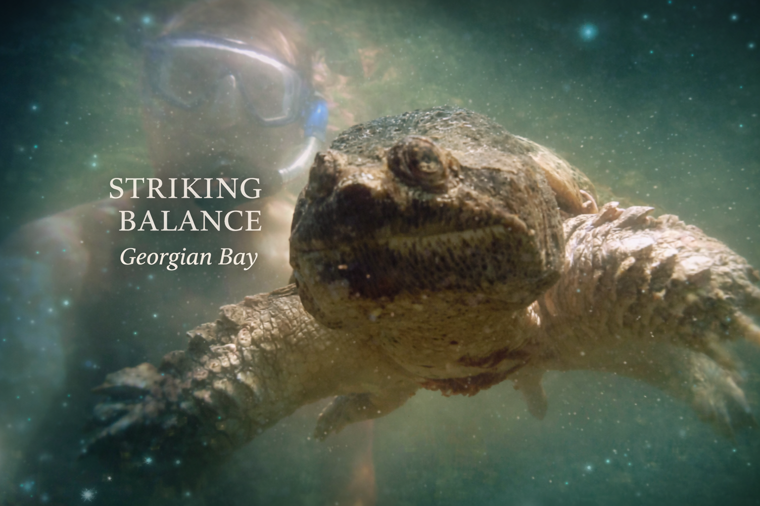 Striking Balance - Georgian Bay