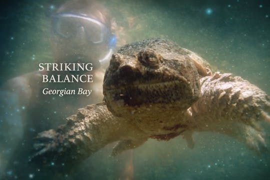 Striking Balance - Georgian Bay