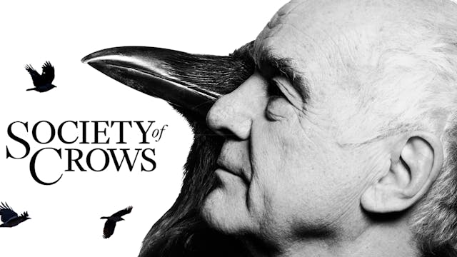 Society Of Crows WCFF 2025