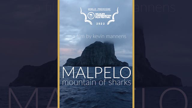 Malpelo: Mountain of Sharks