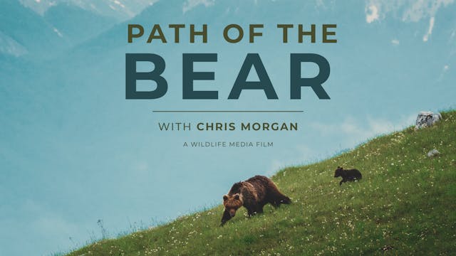 PATH OF THE BEAR TRAILER