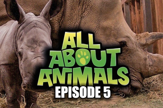 All About Animals - Series 1 - Episode 5