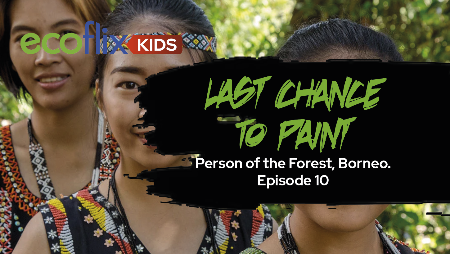 Last Chance to Paint - Person of the Forest, Borneo. Episode 10