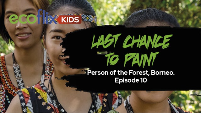 Last Chance to Paint - Person of the Forest, Borneo. Episode 10