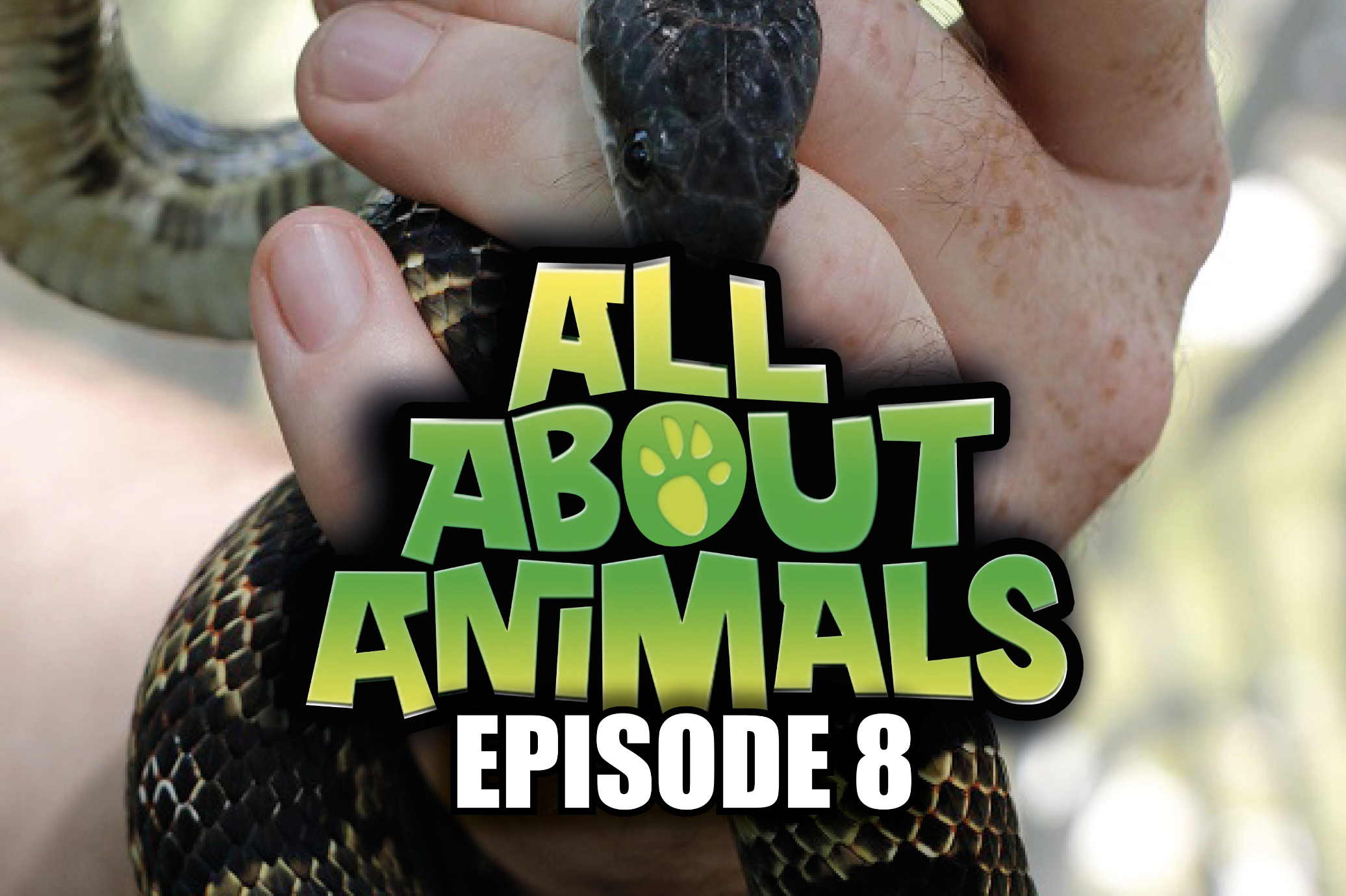All About Animals - Series 1 - Episode 8