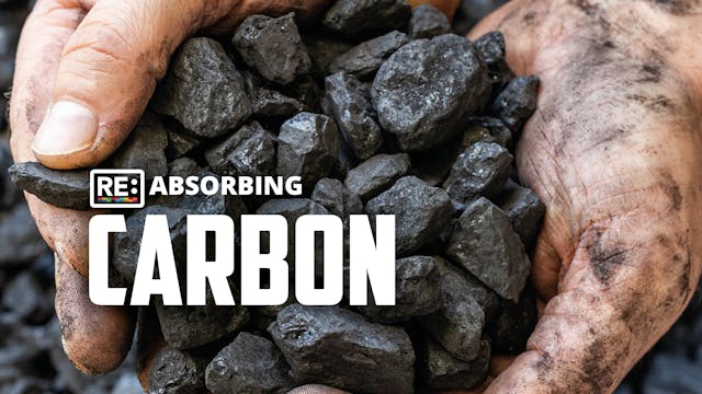 Reabsorbing Carbon