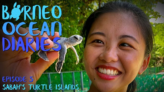 Borneo Ocean Diaries - episode 05
