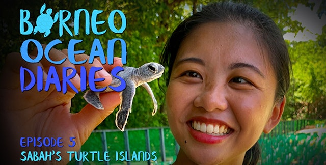 Borneo Ocean Diaries - episode 05