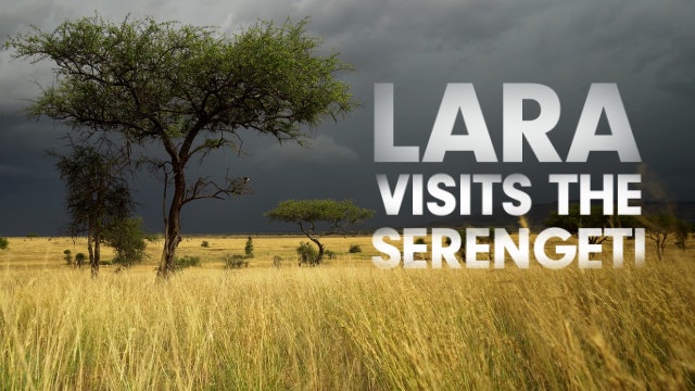 Lara visits the Serengeti