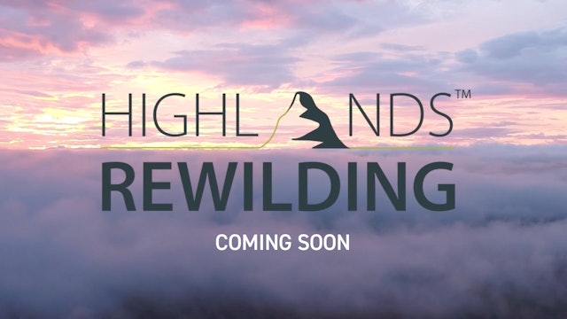 Coming Soon: Highlands Rewilding Counting Nature