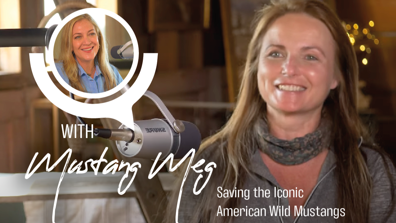 Laurie's Hood's Difference Makers with Mustang Meg 