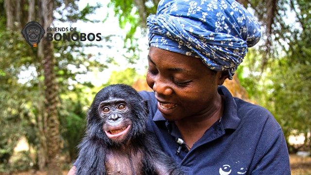 Friends Of Bonobos
