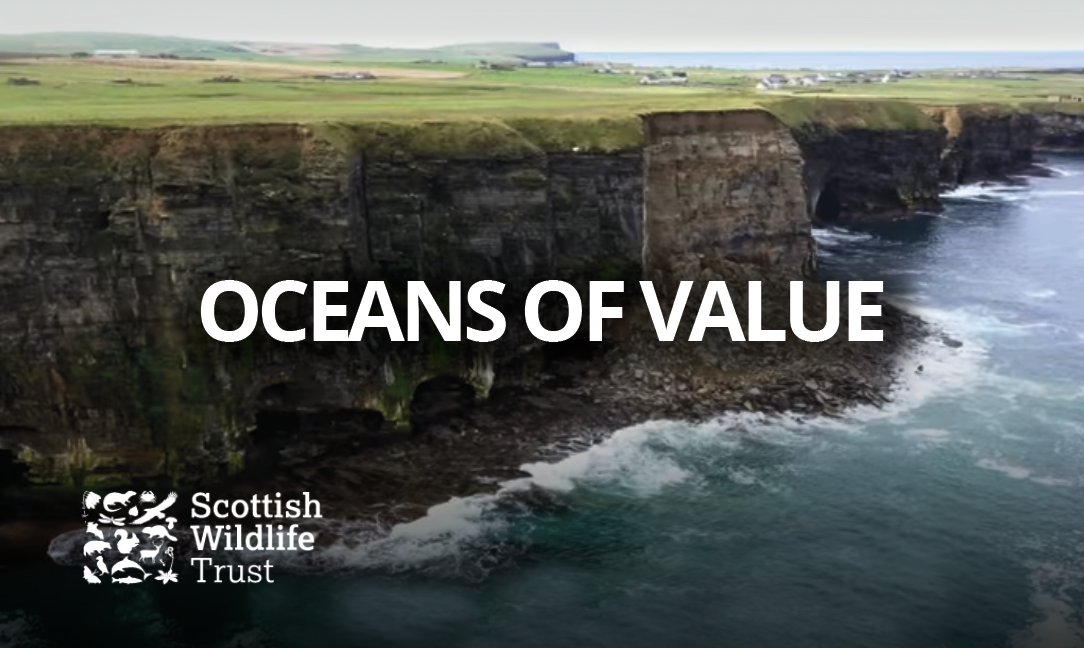 Oceans Of Value
