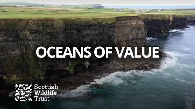 Oceans Of Value