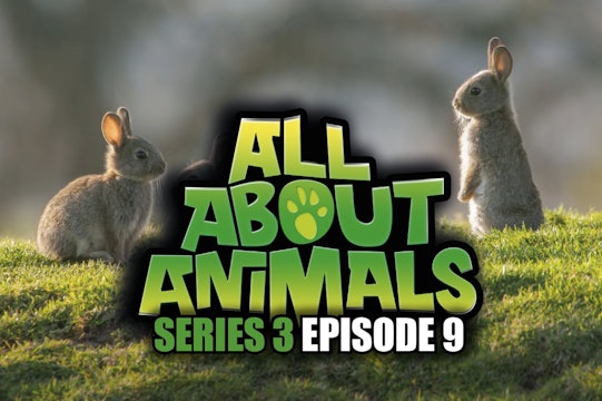 All About Animals - Series 3 - Episode 9