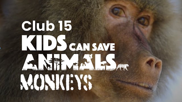 Club 15: Kids Can Save Animals - Ep1 ...