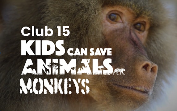 Club 15: Kids Can Save Animals - Ep1 Monkeys 