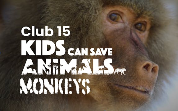 Club 15: Kids Can Save Animals - Ep1 ...