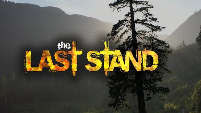 The Last Stand