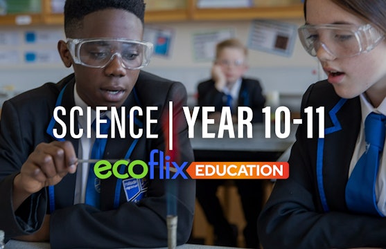Science: Year 10-11