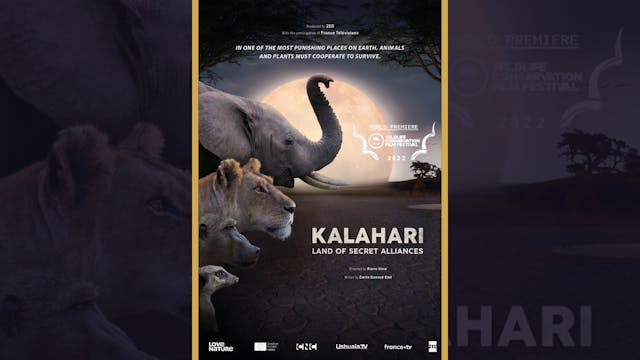 Kalahari (Trailer)