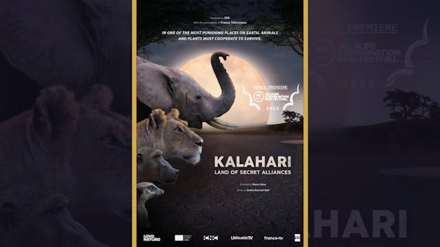 Kalahari: Land of Secret Alliances Te...