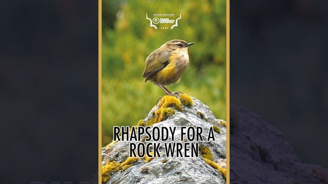 Rhapsody for a Rock Wren (Trailer) 