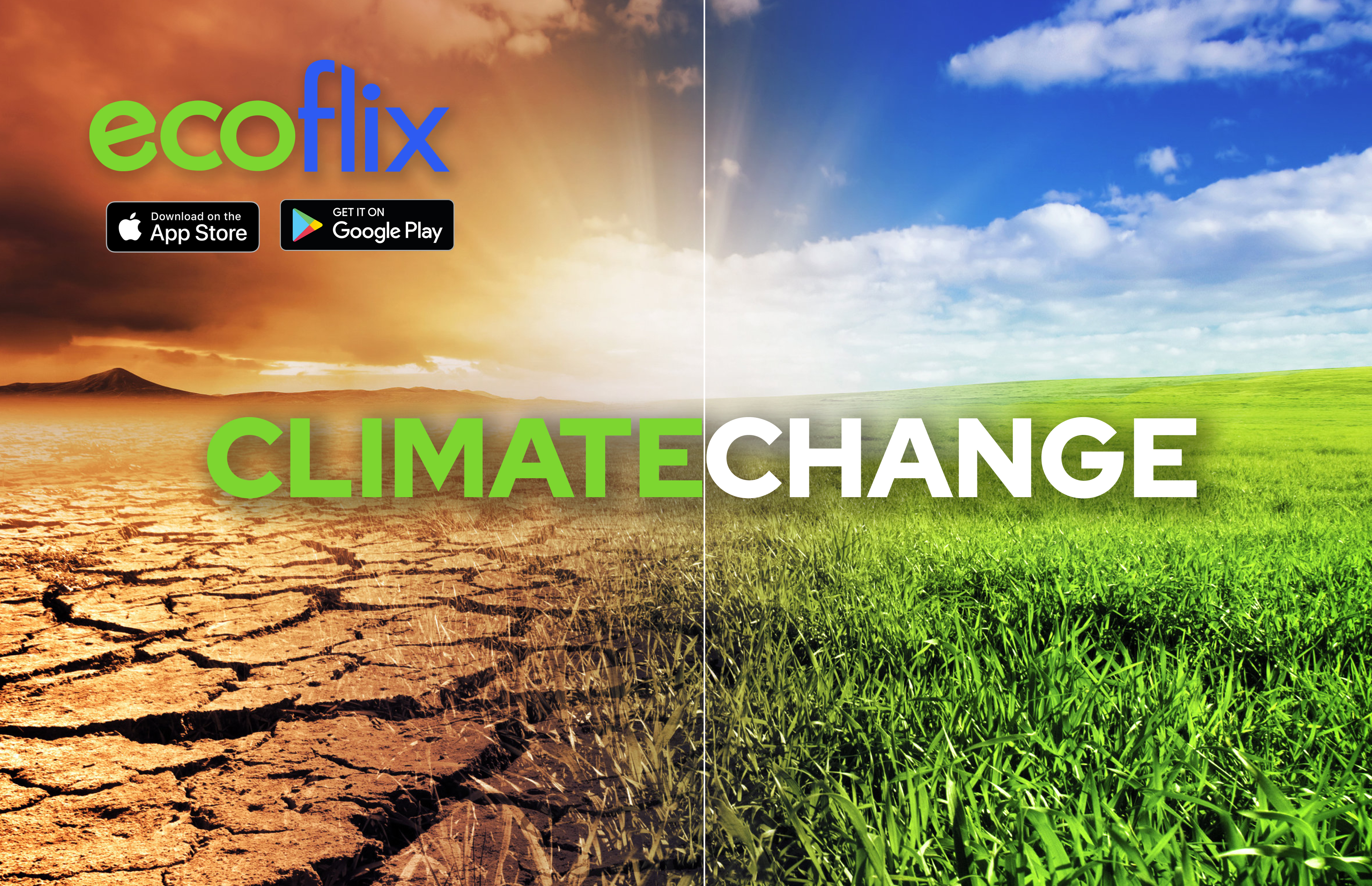 Ecoflix helps partner NGOs tackle climate change 