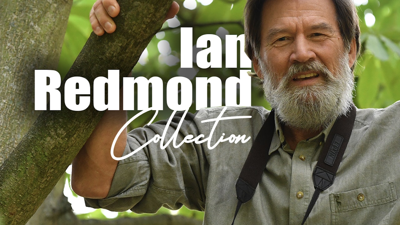 The Ian Redmond Collection
