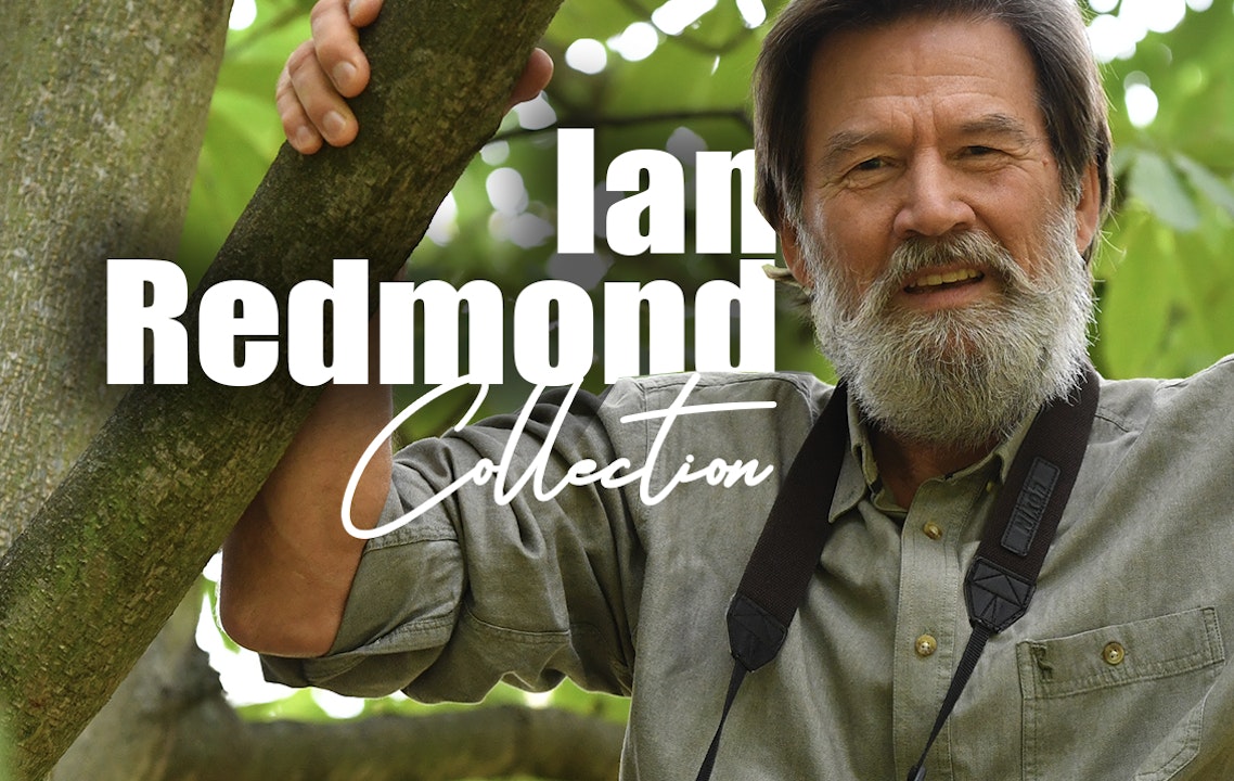 The Ian Redmond Collection