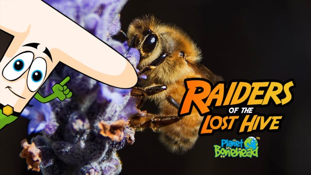 Planet Bonehead - Episode 2: Raiders ...