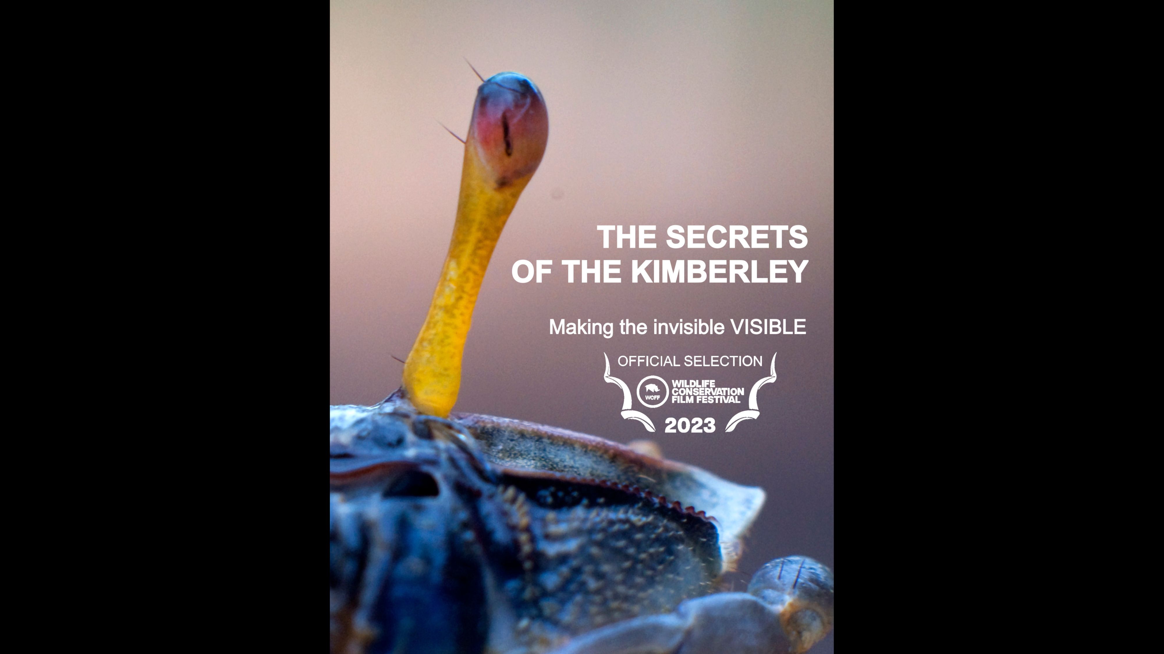 Secrets Of Kimberley Teaser WCFF2023