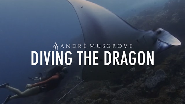 Diving The Dragon