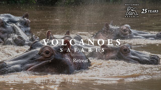 Volcanoes Safaris Retreat