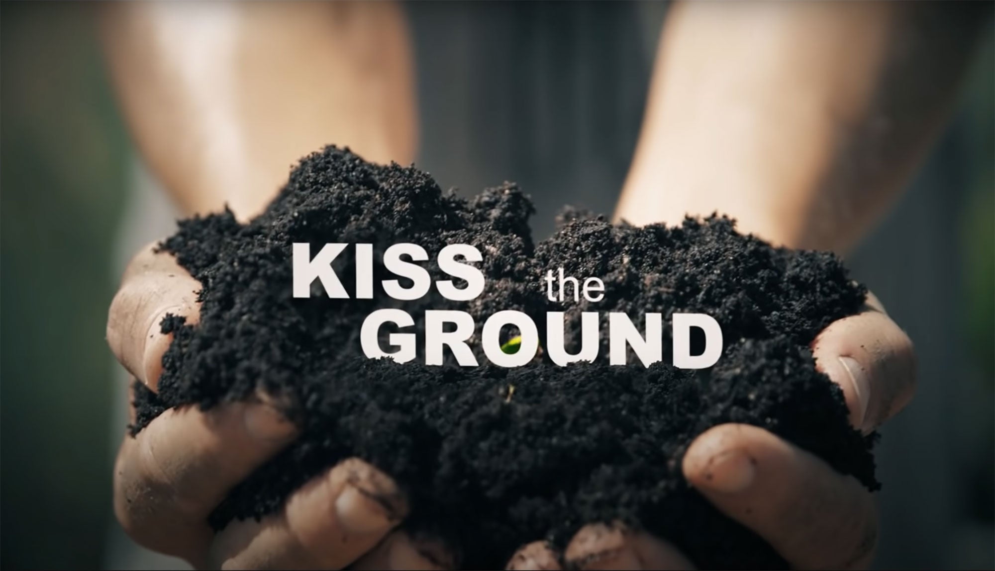 Kiss The Ground