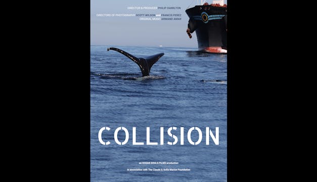Collision Teaser WCFF2023