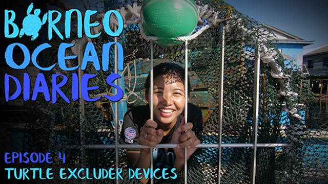 Borneo Ocean Diaries - episode 04