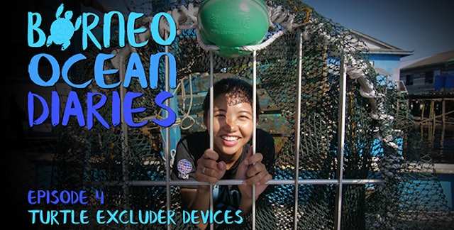 Borneo Ocean Diaries - episode 04