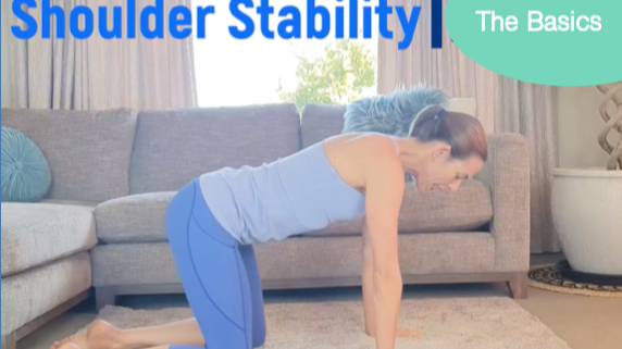 Shoulder Stability 101
