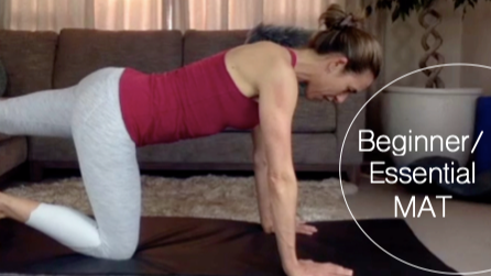 The one where the pets steal the show