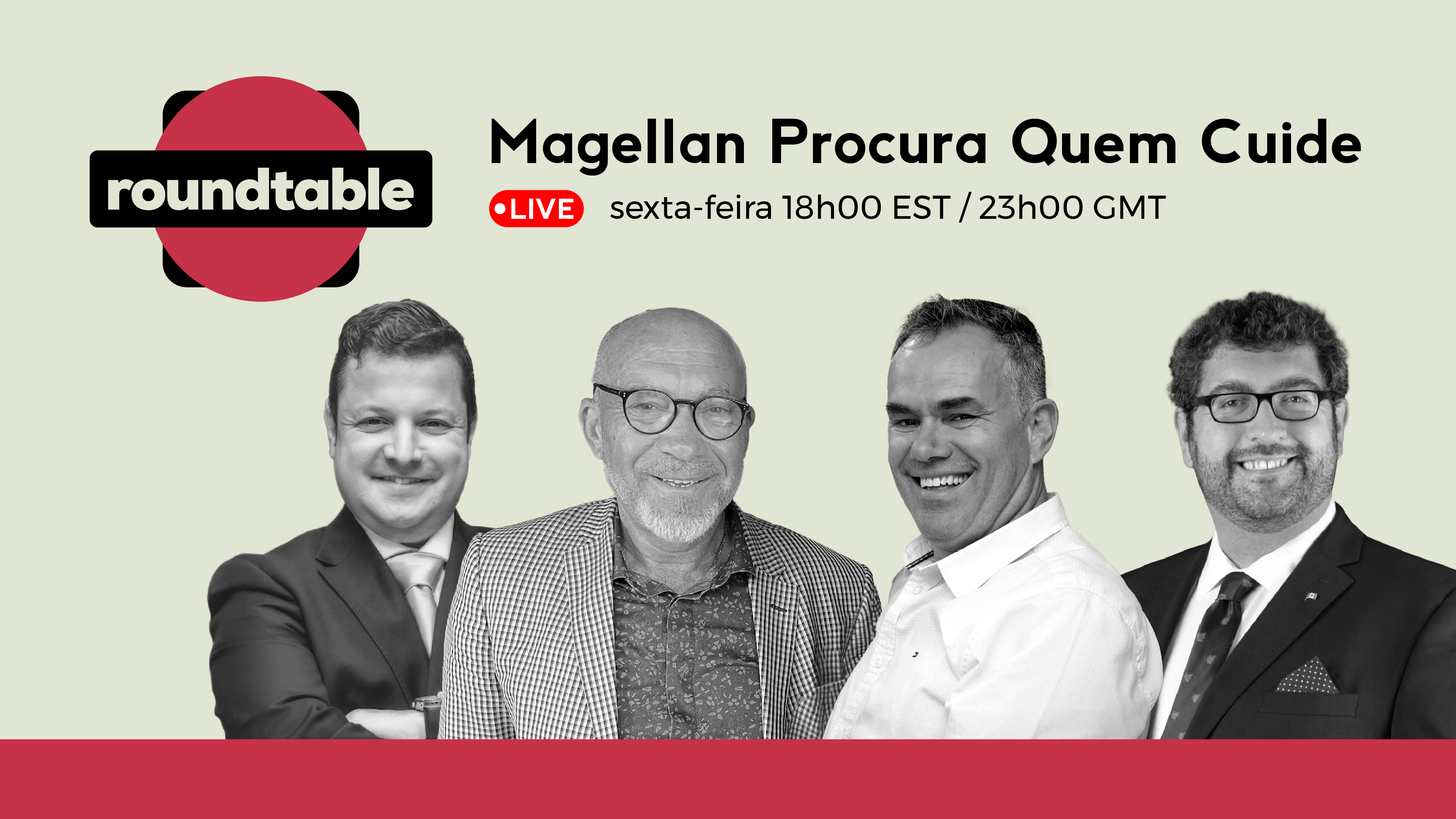 Magellan Procura Profissionais