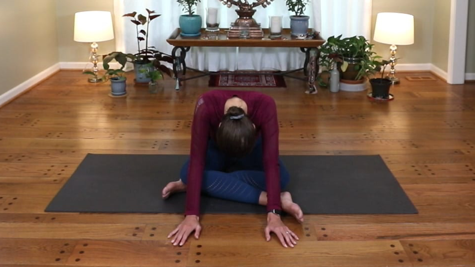 Well Rounded Release